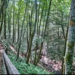 Casa de Férias Escape Langewiese Winterberg