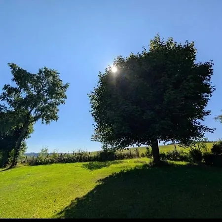 Holiday home Escape Langewiese