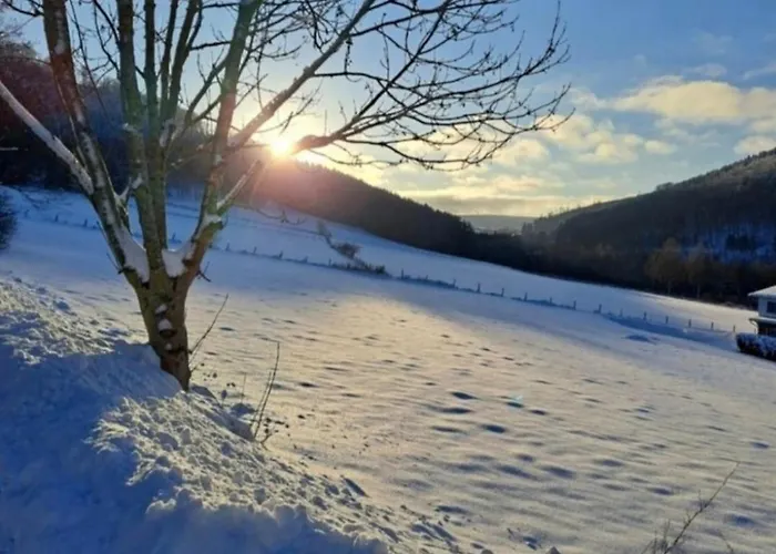 Escape Langewiese Holiday home