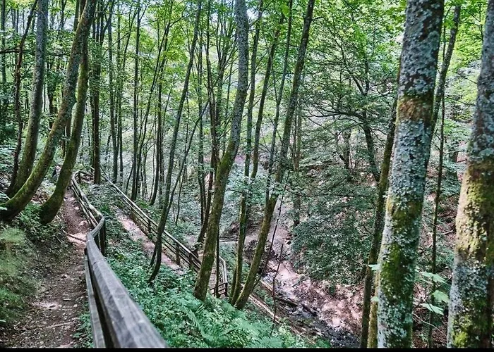 Holiday home Escape Langewiese Winterberg